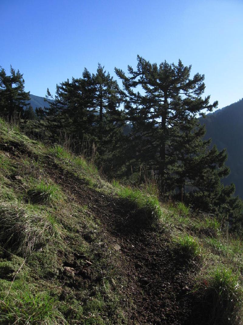 gallery/munraPoint_21.jpg