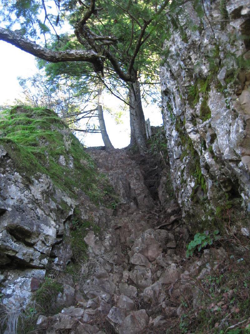 gallery/munraPoint_23.jpg
