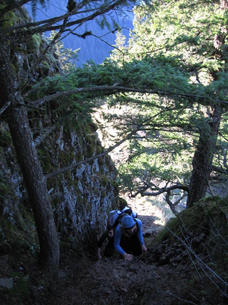 gallery/munraPoint_24.jpg