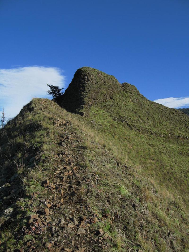 gallery/munraPoint_27.jpg