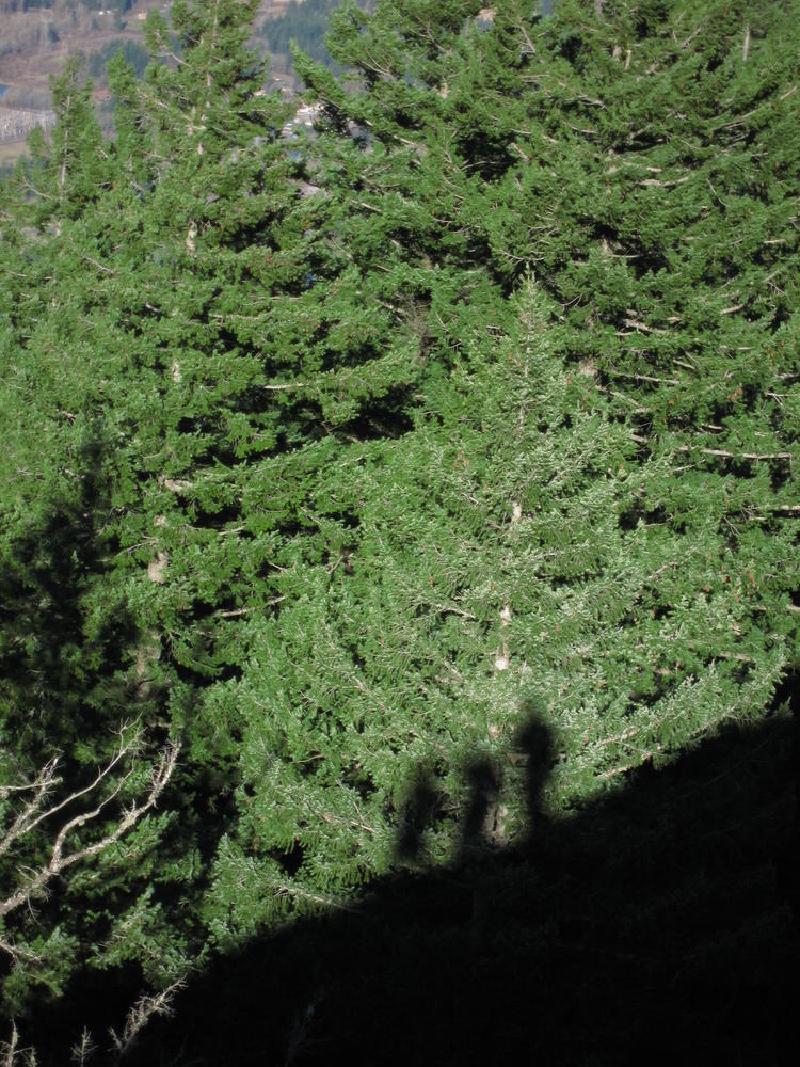 gallery/munraPoint_30.jpg