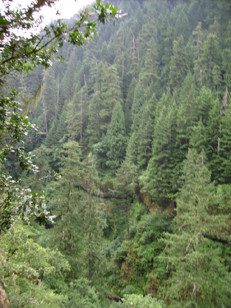 gallery/punchBowl_03.jpg