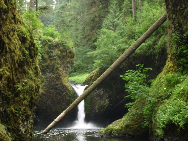 gallery/punchBowl_12.jpg