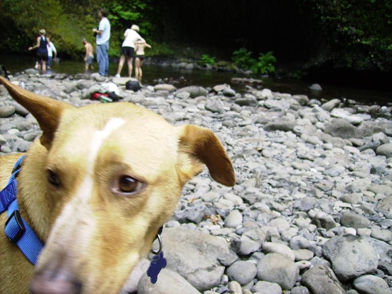 gallery/punchBowl_17.jpg
