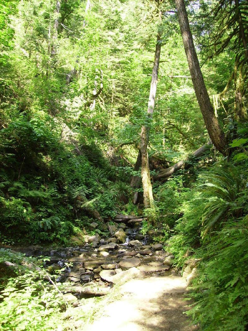gallery/punchBowl_35.jpg