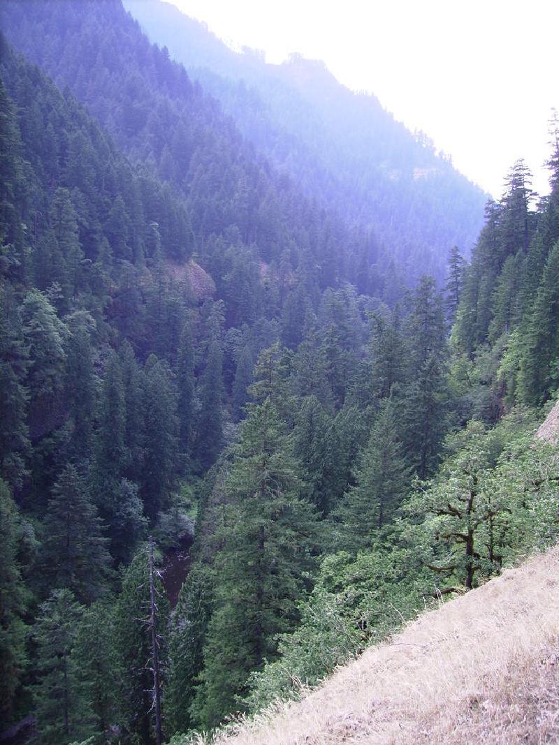 gallery/punchBowl_37.jpg