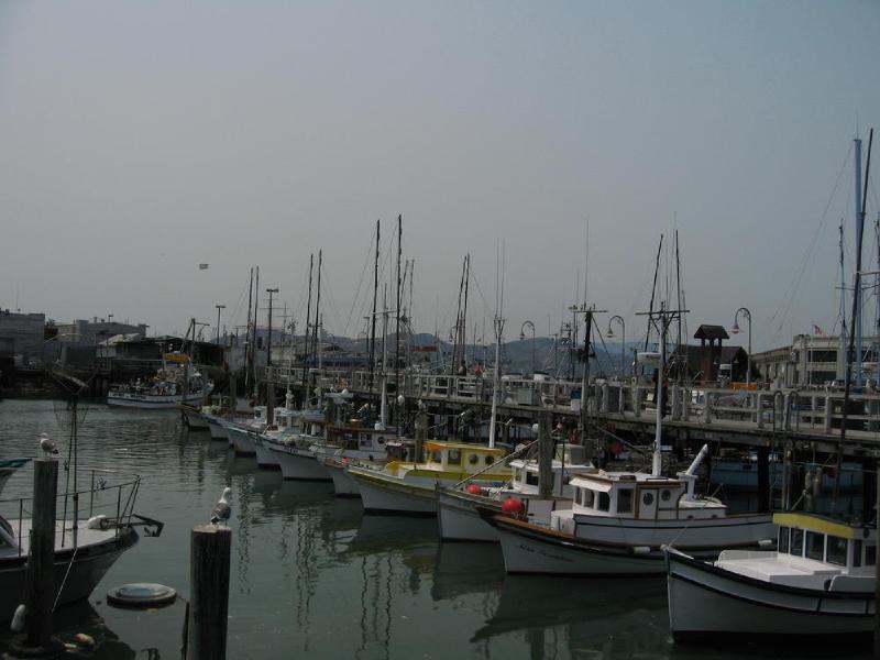 gallery/sf_0091.jpg