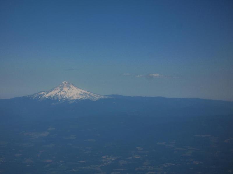 gallery/sf_0171.jpg