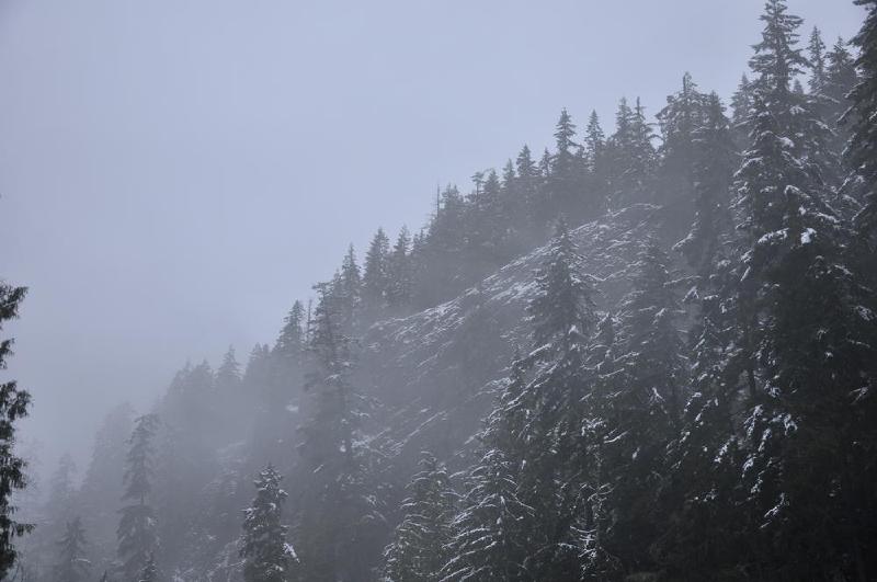 gallery/seattle_11.jpg
