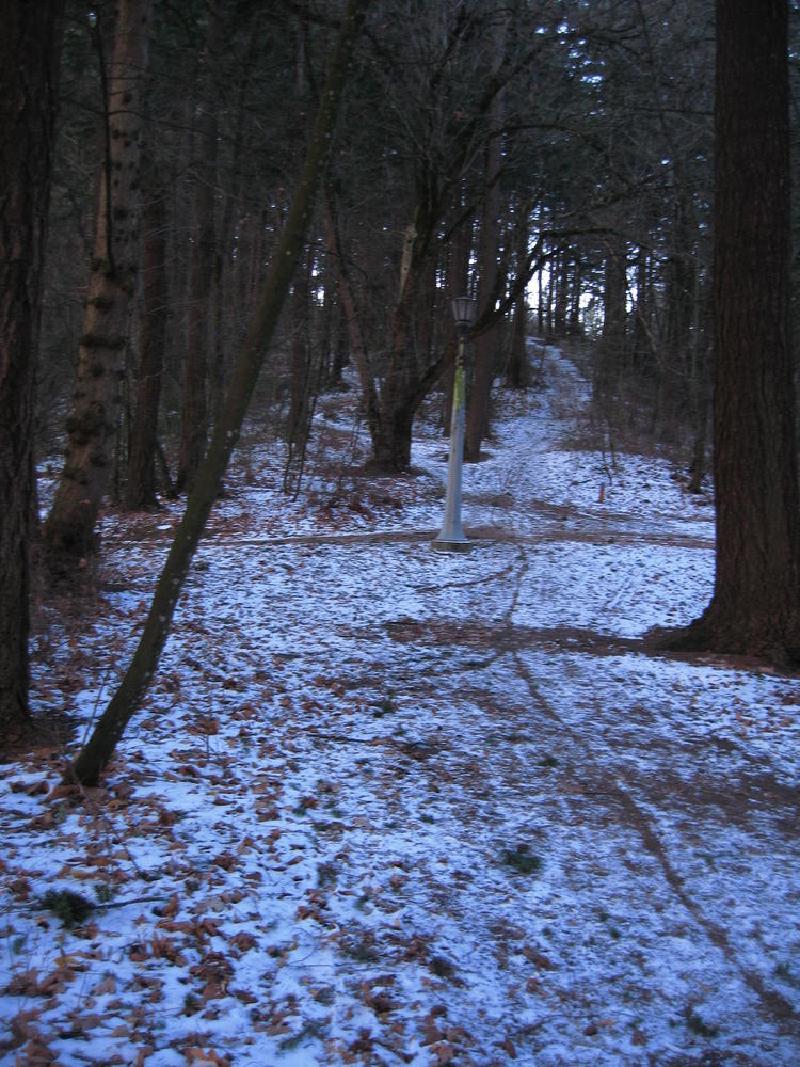 gallery/homeSnow_003.jpg