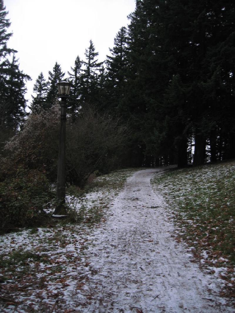 gallery/homeSnow_008.jpg