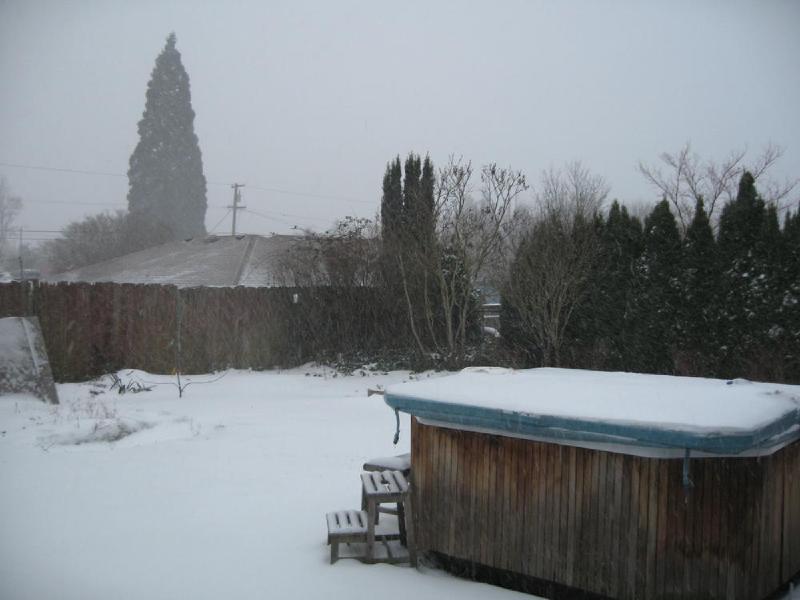 gallery/homeSnow_018.jpg