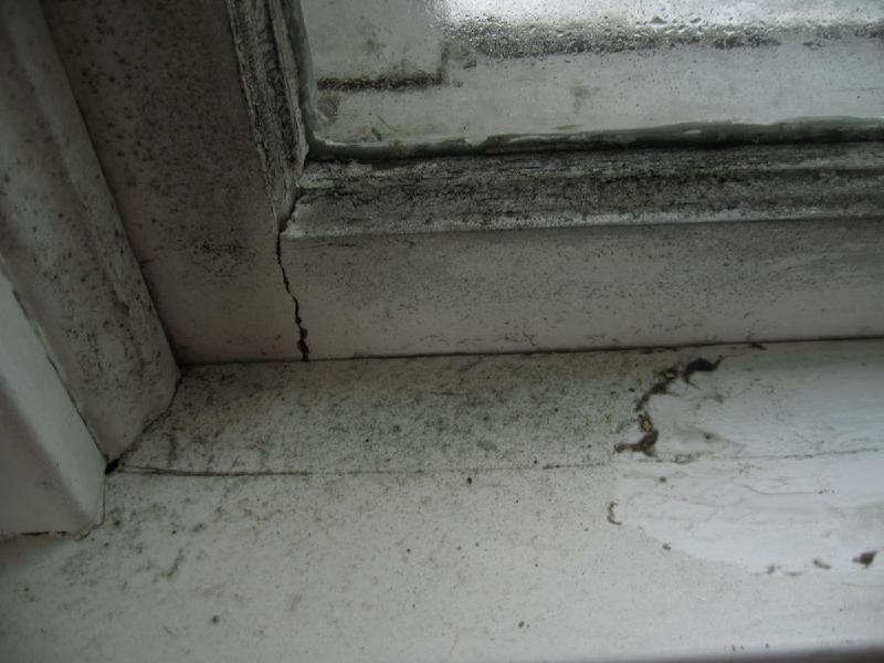 gallery/homeSnow_050.jpg