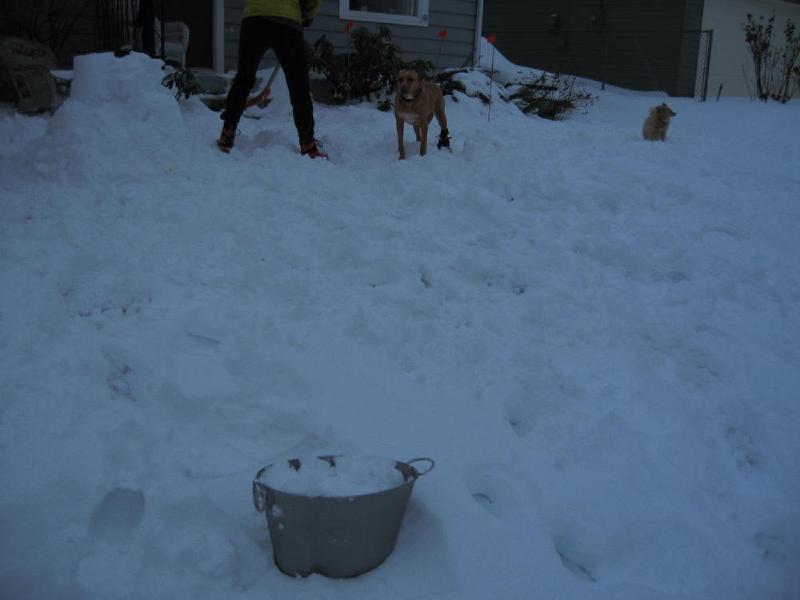 gallery/homeSnow_55.jpg