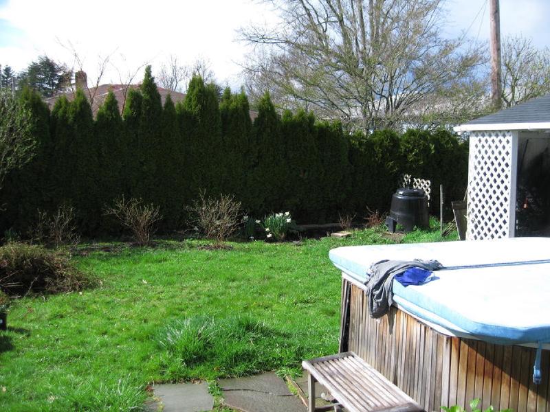 gallery/yard_003.jpg