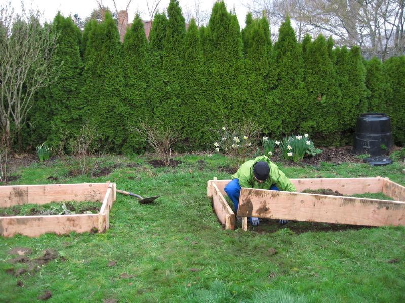 gallery/yard_010.jpg