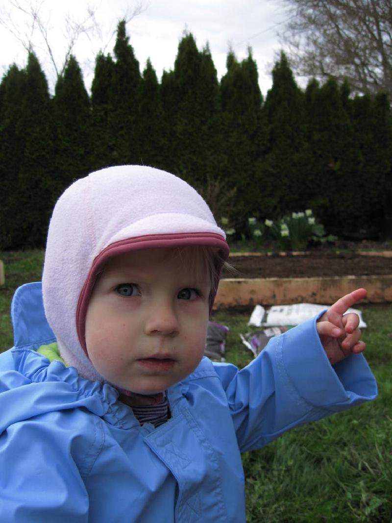 gallery/yard_013.jpg