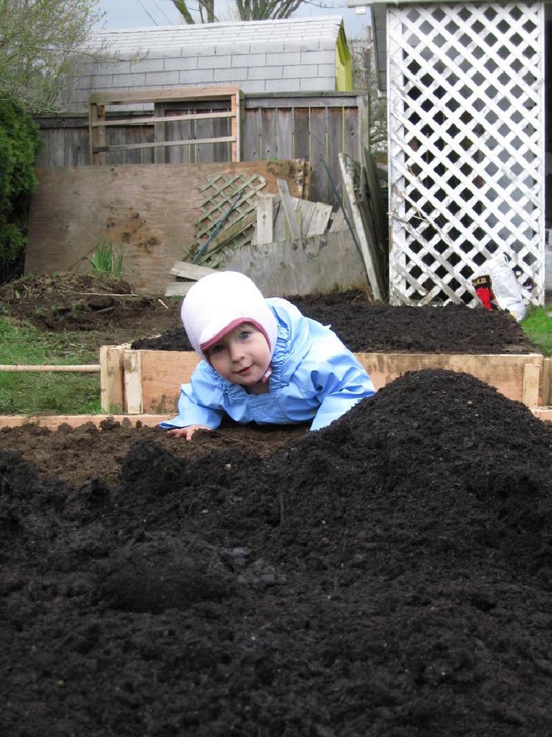 gallery/yard_016.jpg
