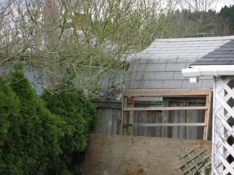 gallery/yard_022.jpg