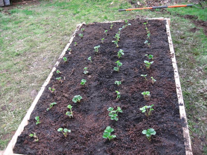 gallery/yard_029.jpg