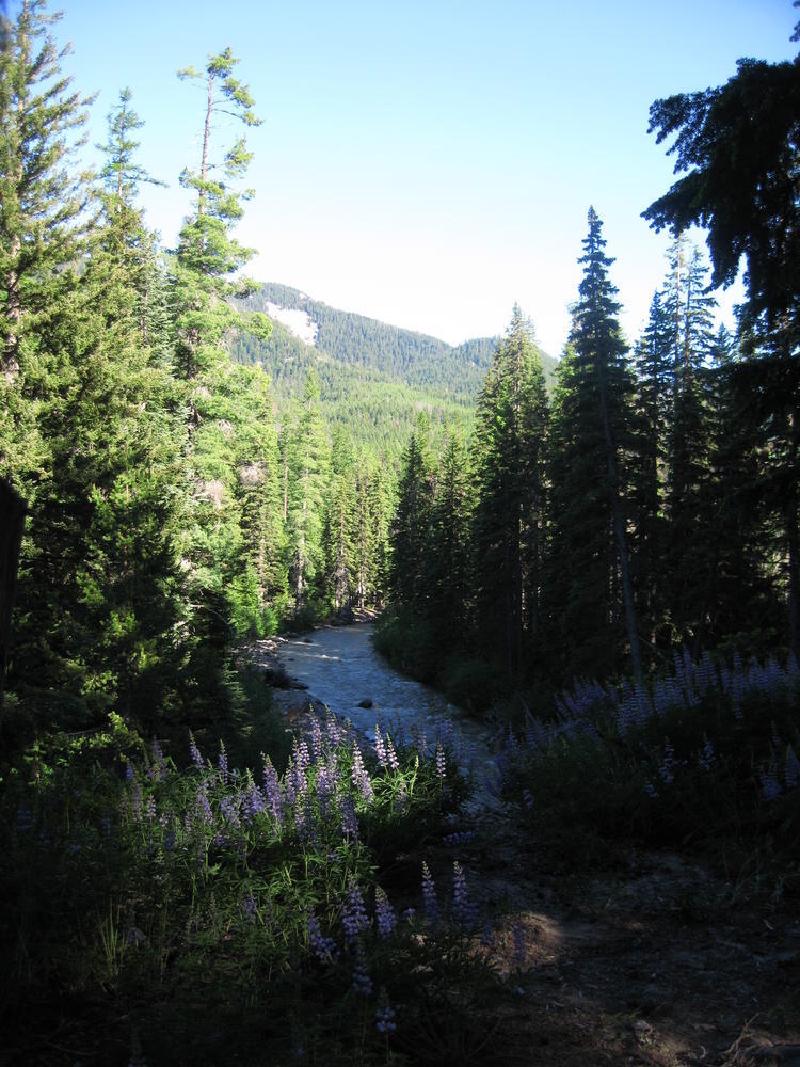 gallery/sherwood_22.jpg