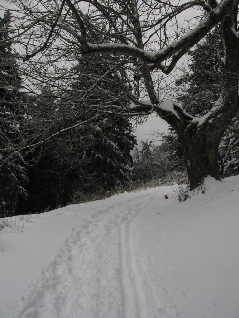 gallery/walkWork_00.jpg