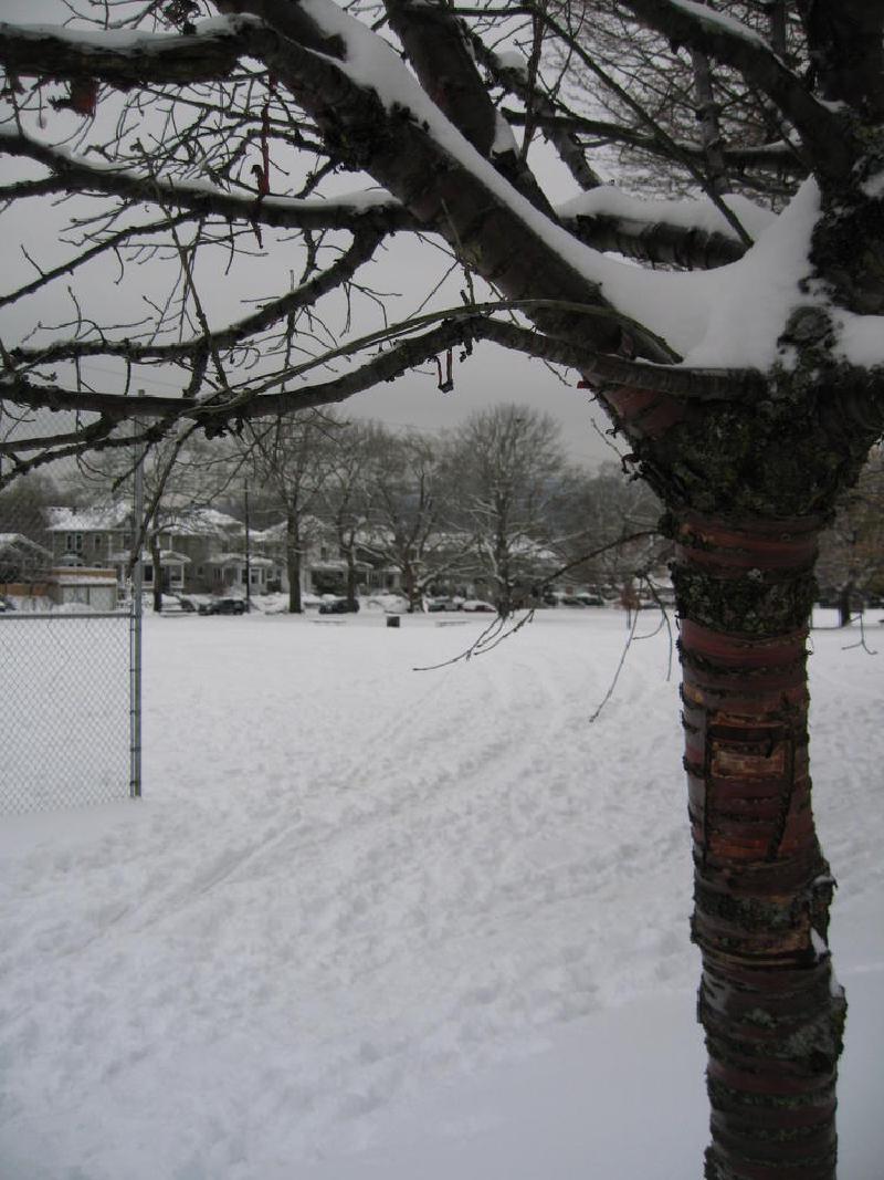 gallery/walkWork_05.jpg