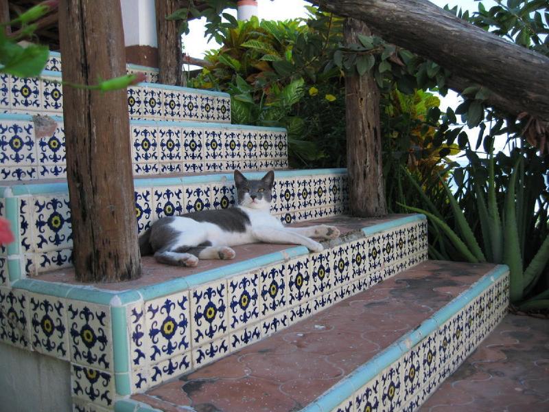 gallery/mexico_014.jpg