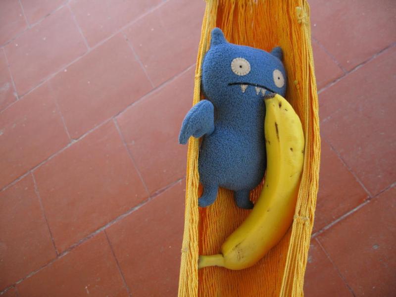 gallery/mexico_068.jpg