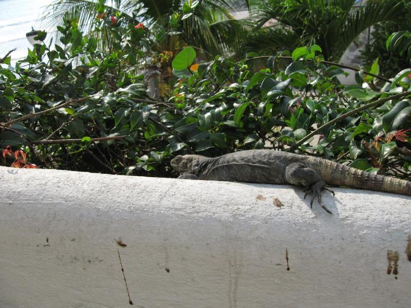 gallery/mexico_070.jpg