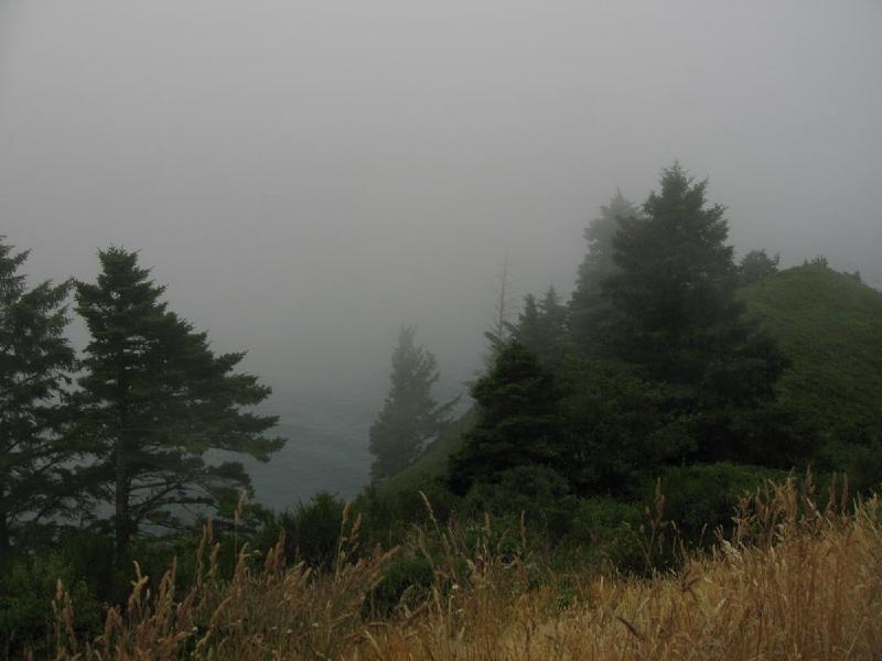 gallery/4thJuly_055.jpg