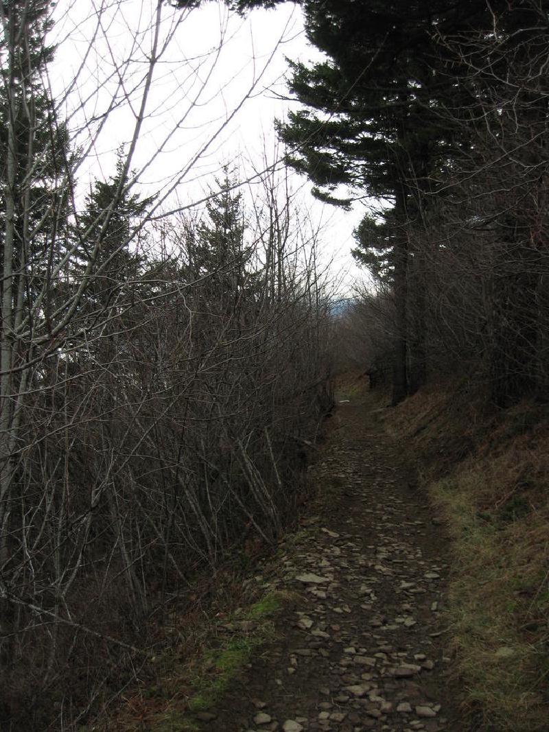 gallery/angelsRest_03.jpg