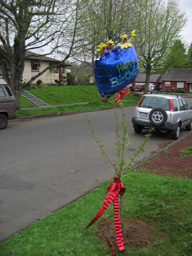 gallery/bday_10.jpg