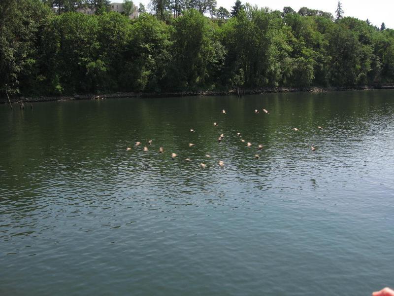 gallery/boat_13.jpg