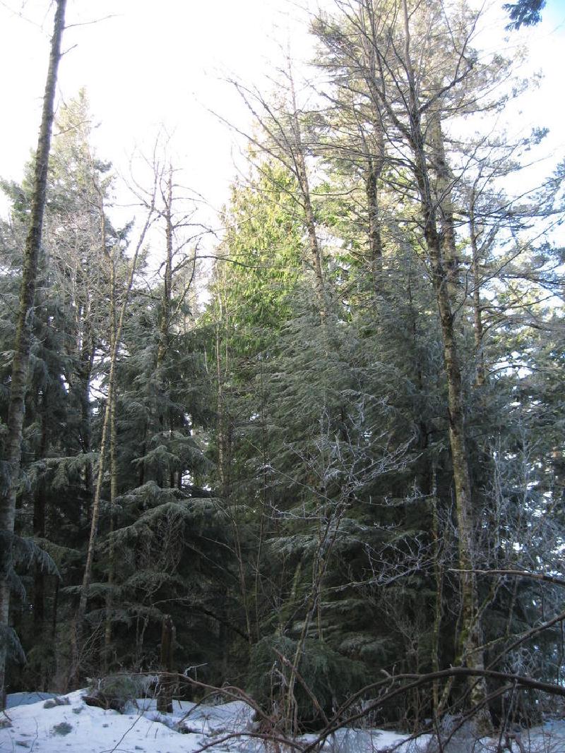 gallery/devilsRest_17.jpg