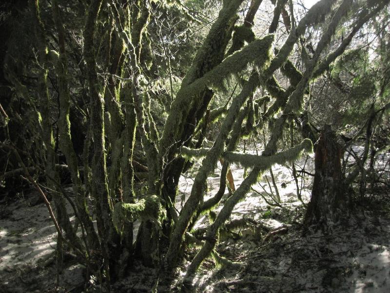 gallery/devilsRest_19.jpg