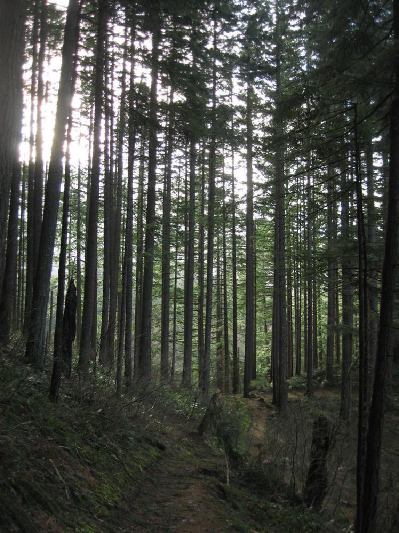 gallery/devilsRest_29.jpg
