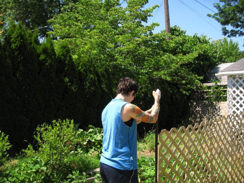 gallery/porch_june_046.jpg