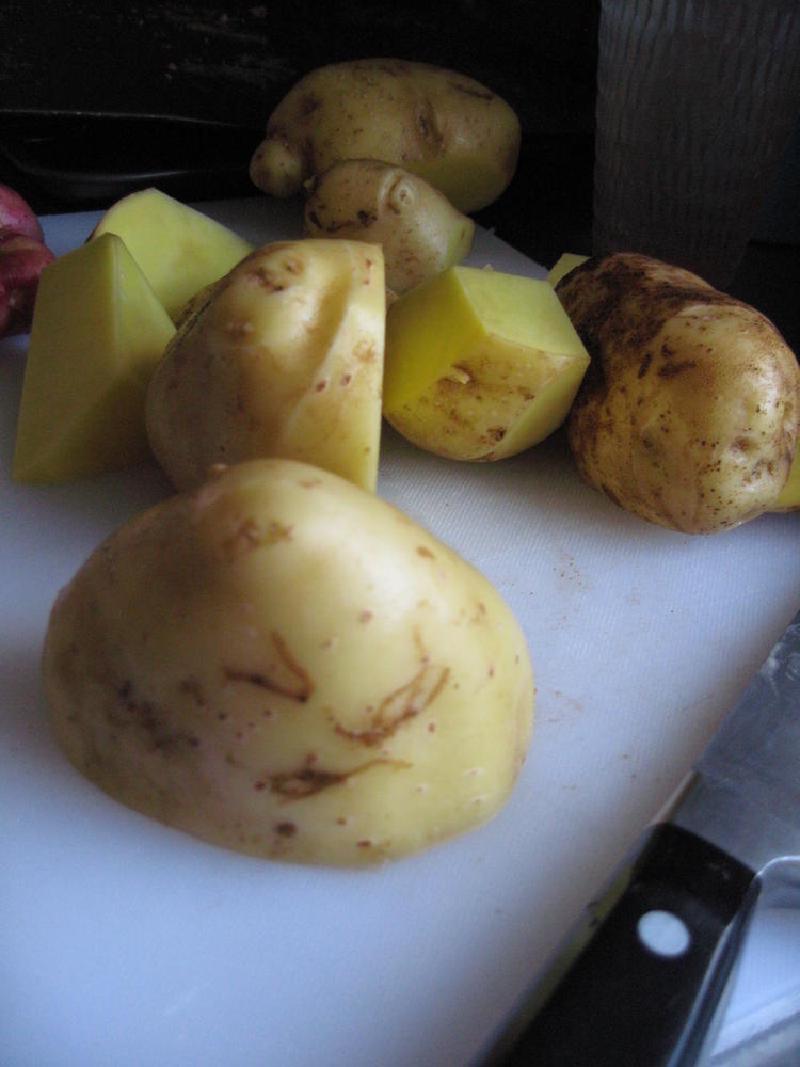 gallery/potato_04.jpg