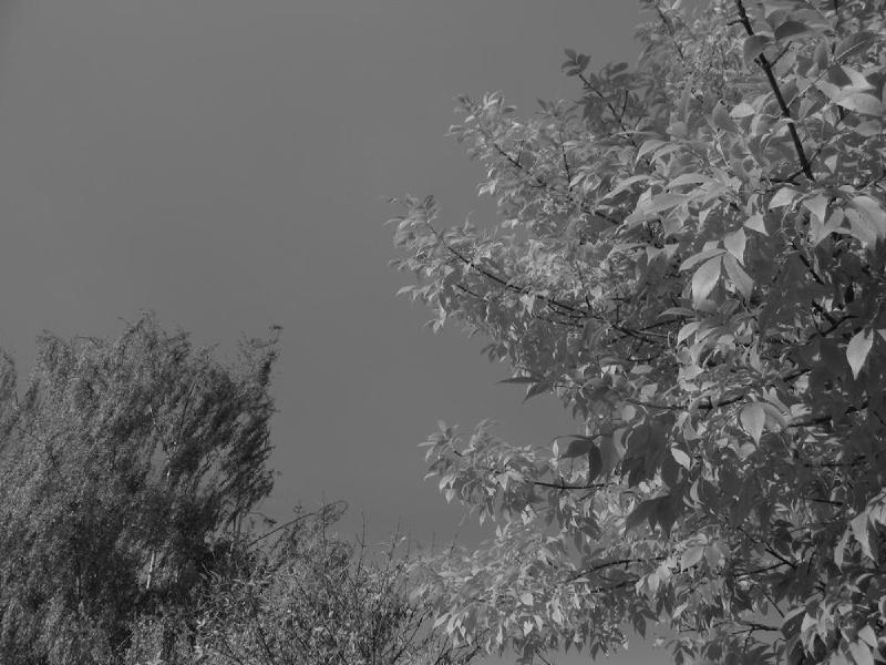 gallery/home_34.jpg
