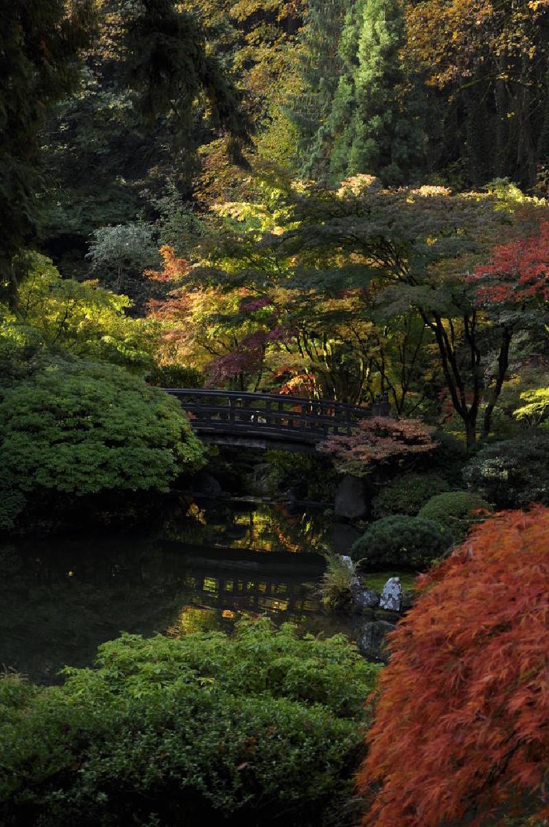 gallery/japaneseGarden_03.jpg