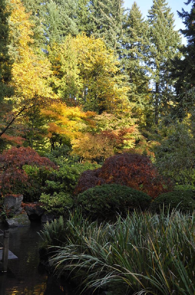 gallery/japaneseGarden_14.jpg