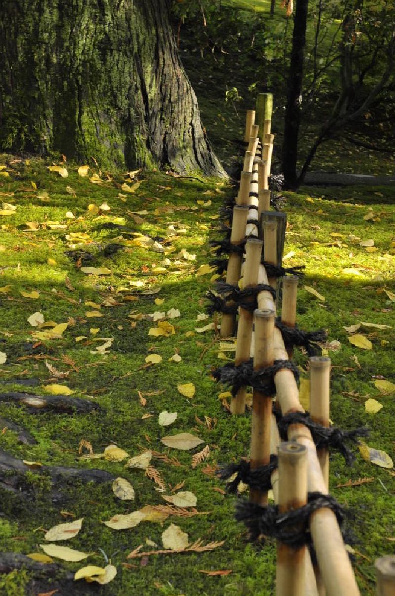 gallery/japaneseGarden_16.jpg