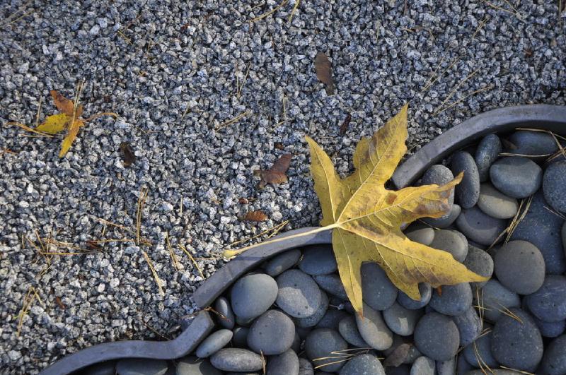 gallery/japaneseGarden_38.jpg