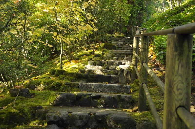 gallery/japaneseGarden_41.jpg