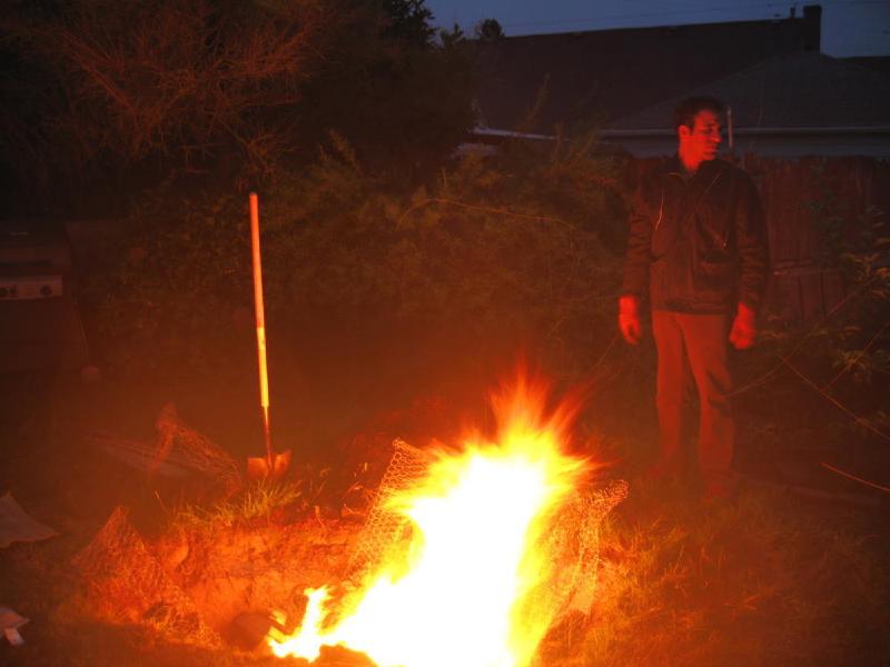 gallery/roast_009.jpg