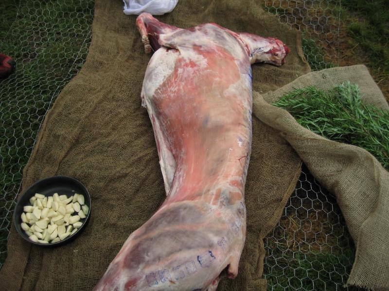 gallery/roast_024.jpg