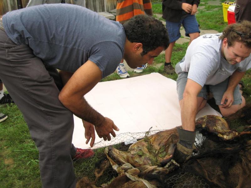 gallery/roast_085.jpg
