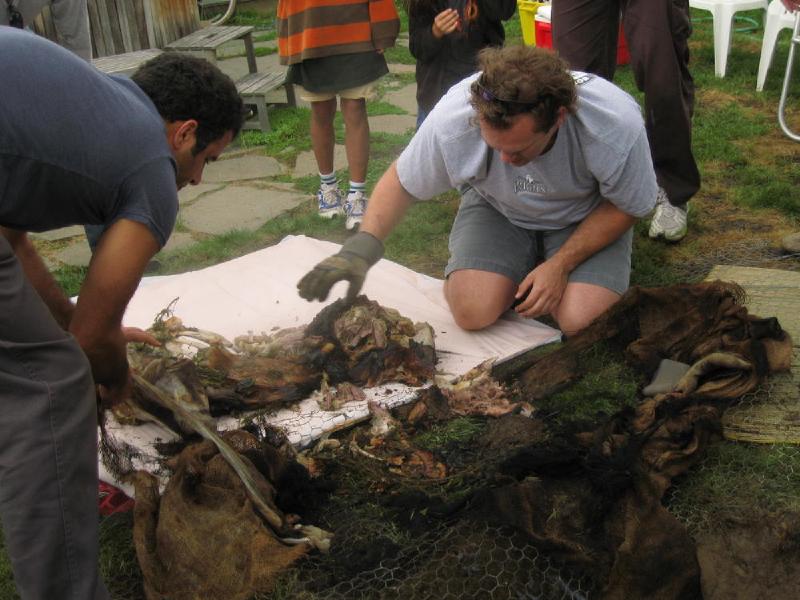 gallery/roast_086.jpg