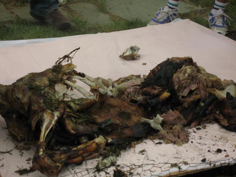 gallery/roast_088.jpg